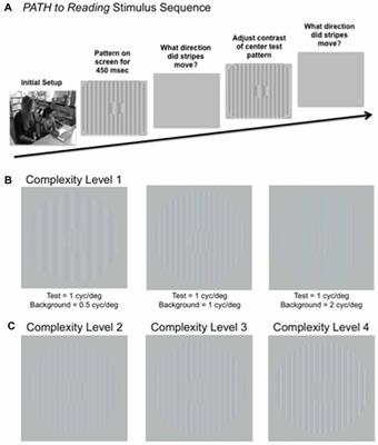 Training on Movement Figure-Ground Discrimination Remediates Low-Level Visual Timing Deficits in the Dorsal Stream, Improving High-Level Cognitive Functioning, Including Attention, Reading Fluency, and Working Memory